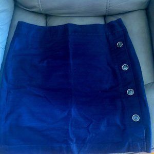 Ann Taylor size 14 Navy Skirt